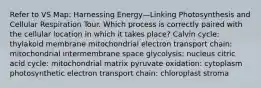 Refer to VS Map: Harnessing Energy—Linking Photosynthesis and Cellular Respiration Tour. Which process is correctly paired with the cellular location in which it takes place? Calvin cycle: thylakoid membrane mitochondrial electron transport chain: mitochondrial intermembrane space glycolysis: nucleus citric acid cycle: mitochondrial matrix pyruvate oxidation: cytoplasm photosynthetic electron transport chain: chloroplast stroma