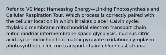 Refer to VS Map: Harnessing Energy—Linking Photosynthesis and <a href='https://www.questionai.com/knowledge/k1IqNYBAJw-cellular-respiration' class='anchor-knowledge'>cellular respiration</a> Tour. Which process is correctly paired with the cellular location in which it takes place? Calvin cycle: thylakoid membrane mitochondrial electron transport chain: mitochondrial intermembrane space glycolysis: nucleus citric acid cycle: mitochondrial matrix pyruvate oxidation: cytoplasm photosynthetic electron transport chain: chloroplast stroma