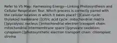 Refer to VS Map: Harnessing Energy—Linking Photosynthesis and Cellular Respiration Tour. Which process is correctly paired with the cellular location in which it takes place? []Calvin cycle: thylakoid membrane []citric acid cycle: mitochondrial matrix []glycolysis: nucleus []mitochondrial electron transport chain: mitochondrial intermembrane space []pyruvate oxidation: cytoplasm []photosynthetic electron transport chain: chloroplast stroma