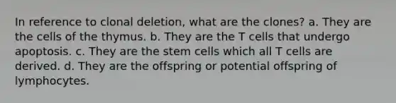 In reference to clonal deletion, what are the clones? a. They are the cells of the thymus. b. They are the T cells that undergo apoptosis. c. They are the stem cells which all T cells are derived. d. They are the offspring or potential offspring of lymphocytes.