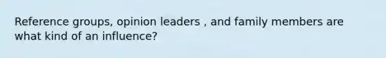 Reference groups, opinion leaders , and family members are what kind of an influence?