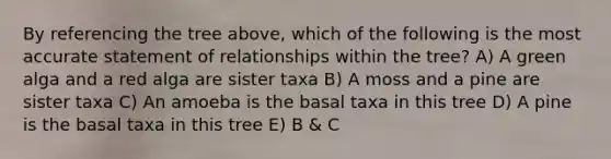 By referencing the tree above, which of the following is the most accurate statement of relationships within the tree? A) A green alga and a red alga are sister taxa B) A moss and a pine are sister taxa C) An amoeba is the basal taxa in this tree D) A pine is the basal taxa in this tree E) B & C