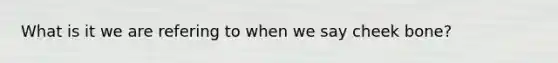 What is it we are refering to when we say cheek bone?
