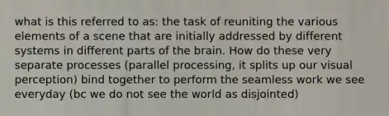 what is this referred to as: the task of reuniting the various elements of a scene that are initially addressed by different systems in different parts of the brain. How do these very separate processes (parallel processing, it splits up our visual perception) bind together to perform the seamless work we see everyday (bc we do not see the world as disjointed)