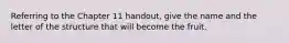 Referring to the Chapter 11 handout, give the name and the letter of the structure that will become the fruit.