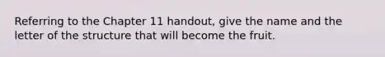 Referring to the Chapter 11 handout, give the name and the letter of the structure that will become the fruit.