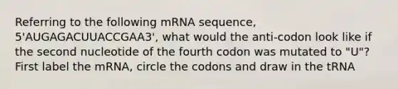 Referring to the following mRNA sequence, 5'AUGAGACUUACCGAA3', what would the anti-codon look like if the second nucleotide of the fourth codon was mutated to "U"? First label the mRNA, circle the codons and draw in the tRNA