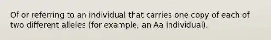 Of or referring to an individual that carries one copy of each of two different alleles (for example, an Aa individual).