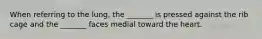 When referring to the lung, the _______ is pressed against the rib cage and the _______ faces medial toward the heart.