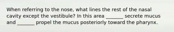 When referring to the nose, what lines the rest of the nasal cavity except the vestibule? In this area _______ secrete mucus and _______ propel the mucus posteriorly toward the pharynx.