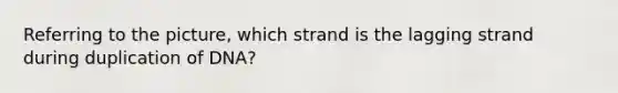 Referring to the picture, which strand is the lagging strand during duplication of DNA?