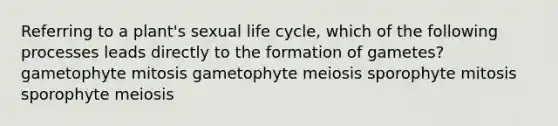 Referring to a plant's sexual life cycle, which of the following processes leads directly to the formation of gametes? gametophyte mitosis gametophyte meiosis sporophyte mitosis sporophyte meiosis