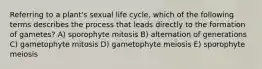 Referring to a plant's sexual life cycle, which of the following terms describes the process that leads directly to the formation of gametes? A) sporophyte mitosis B) alternation of generations C) gametophyte mitosis D) gametophyte meiosis E) sporophyte meiosis