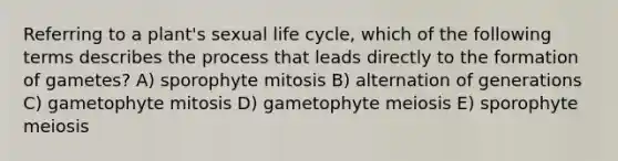 Referring to a plant's sexual life cycle, which of the following terms describes the process that leads directly to the formation of gametes? A) sporophyte mitosis B) alternation of generations C) gametophyte mitosis D) gametophyte meiosis E) sporophyte meiosis