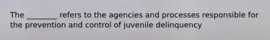 The ________ refers to the agencies and processes responsible for the prevention and control of juvenile delinquency