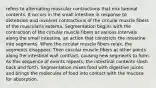 refers to alternating muscular contractions that mix luminal contents. It occurs in the small intestine in response to distension and involves contractions of the circular muscle fibers of the muscularis externa. Segmentation begins with the contraction of the circular muscle fibers at various intervals along the small intestine, an action that constricts the intestine into segments. When the circular muscle fibers relax, the segments disappear. Then circular muscle fibers at other points along the intestinal wall contract, causing new segments to form. As this sequence of events repeats, the intestinal contents slosh back and forth. Segmentation mixes food with digestive juices and brings the molecules of food into contact with the mucosa for absorption.