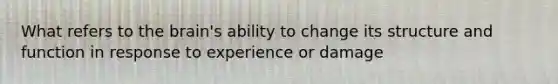 What refers to the brain's ability to change its structure and function in response to experience or damage