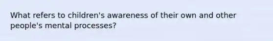 What refers to children's awareness of their own and other people's mental processes?