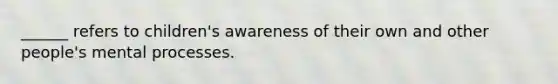 ______ refers to children's awareness of their own and other people's mental processes.