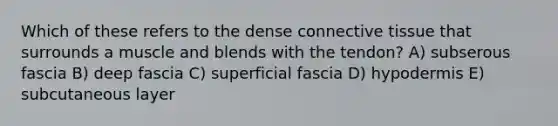 Which of these refers to the dense connective tissue that surrounds a muscle and blends with the tendon? A) subserous fascia B) deep fascia C) superficial fascia D) hypodermis E) subcutaneous layer