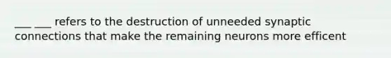 ___ ___ refers to the destruction of unneeded synaptic connections that make the remaining neurons more efficent