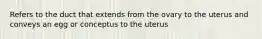 Refers to the duct that extends from the ovary to the uterus and conveys an egg or conceptus to the uterus