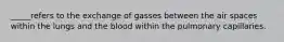 _____refers to the exchange of gasses between the air spaces within the lungs and the blood within the pulmonary capillaries.