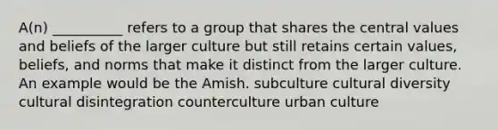 A(n) __________ refers to a group that shares the central values and beliefs of the larger culture but still retains certain values, beliefs, and norms that make it distinct from the larger culture. An example would be the Amish. subculture cultural diversity cultural disintegration counterculture urban culture