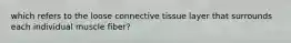 which refers to the loose connective tissue layer that surrounds each individual muscle fiber?