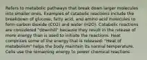 Refers to metabolic pathways that break down larger molecules into smaller ones. Examples of catabolic reactions include the breakdown of glucose, fatty acid, and amino acid molecules to form carbon dioxide (CO2) and water (H2O). Catabolic reactions are considered "downhill" because they result in the release of more energy than is used to initiate the reactions. Heat comprises some of the energy that is released: "Heat of metabolism" helps the body maintain its normal temperature. Cells use the remaining energy to power chemical reactions.