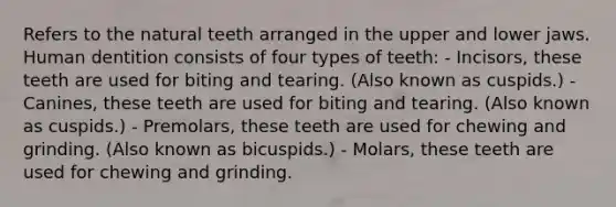 Refers to the natural teeth arranged in the upper and lower jaws. Human dentition consists of four types of teeth: - Incisors, these teeth are used for biting and tearing. (Also known as cuspids.) - Canines, these teeth are used for biting and tearing. (Also known as cuspids.) - Premolars, these teeth are used for chewing and grinding. (Also known as bicuspids.) - Molars, these teeth are used for chewing and grinding.