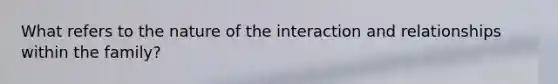 What refers to the nature of the interaction and relationships within the family?