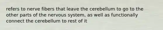 refers to nerve fibers that leave the cerebellum to go to the other parts of the <a href='https://www.questionai.com/knowledge/kThdVqrsqy-nervous-system' class='anchor-knowledge'>nervous system</a>, as well as functionally connect the cerebellum to rest of it