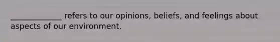 _____________ refers to our opinions, beliefs, and feelings about aspects of our environment.