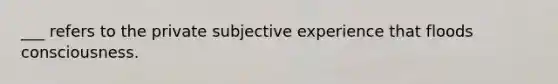 ___ refers to the private subjective experience that floods consciousness.