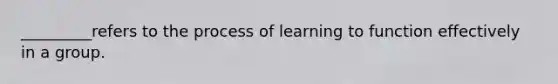 _________refers to the process of learning to function effectively in a group.