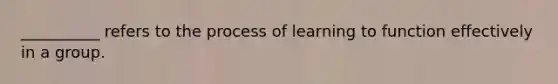 __________ refers to the process of learning to function effectively in a group.