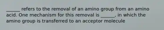 ______ refers to the removal of an amino group from an amino acid. One mechanism for this removal is ______, in which the amino group is transferred to an acceptor molecule