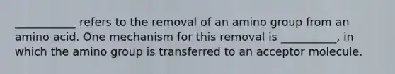 ___________ refers to the removal of an amino group from an amino acid. One mechanism for this removal is __________, in which the amino group is transferred to an acceptor molecule.