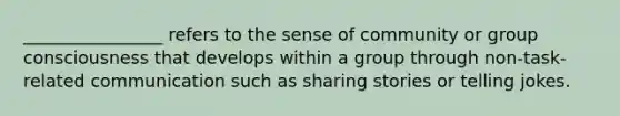 ________________ refers to the sense of community or group consciousness that develops within a group through non-task-related communication such as sharing stories or telling jokes.