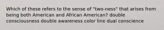 Which of these refers to the sense of "two-ness" that arises from being both American and African American? double consciousness double awareness color line dual conscience