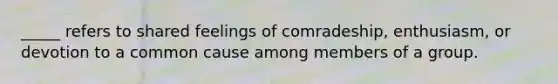 _____ refers to shared feelings of comradeship, enthusiasm, or devotion to a common cause among members of a group.