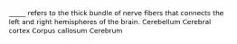 _____ refers to the thick bundle of nerve fibers that connects the left and right hemispheres of the brain. Cerebellum Cerebral cortex Corpus callosum Cerebrum