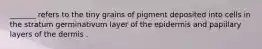 _______ refers to the tiny grains of pigment deposited into cells in the stratum germinativum layer of the epidermis and papillary layers of the dermis .