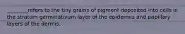 ________refers to the tiny grains of pigment deposited into cells in the stratum germinativum layer of the epidermis and papillary layers of the dermis.