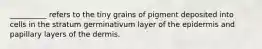 __________ refers to the tiny grains of pigment deposited into cells in the stratum germinativum layer of the epidermis and papillary layers of the dermis.