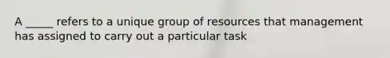 A _____ refers to a unique group of resources that management has assigned to carry out a particular task