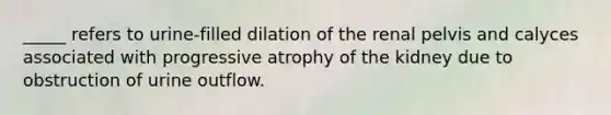 _____ refers to urine-filled dilation of the renal pelvis and calyces associated with progressive atrophy of the kidney due to obstruction of urine outflow.