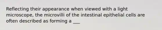 Reflecting their appearance when viewed with a light microscope, the microvilli of the intestinal epithelial cells are often described as forming a ___