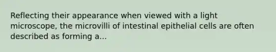 Reflecting their appearance when viewed with a light microscope, the microvilli of intestinal epithelial cells are often described as forming a...